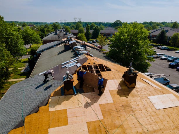 24/7 Emergency Storm Damage Roof Repair experts in Cortland, NE
